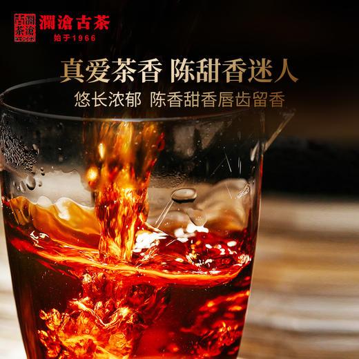 澜沧古茶2020年0085金瓜会员尊享景迈古树熟茶普洱茶云南茶叶盒装500g 商品图3