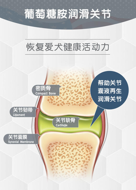 麦德氏IN-VET 鲨鱼软骨素  商品图8