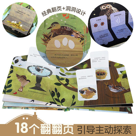 这是我的家科普翻翻书：小鸟的家 原价88 商品图8