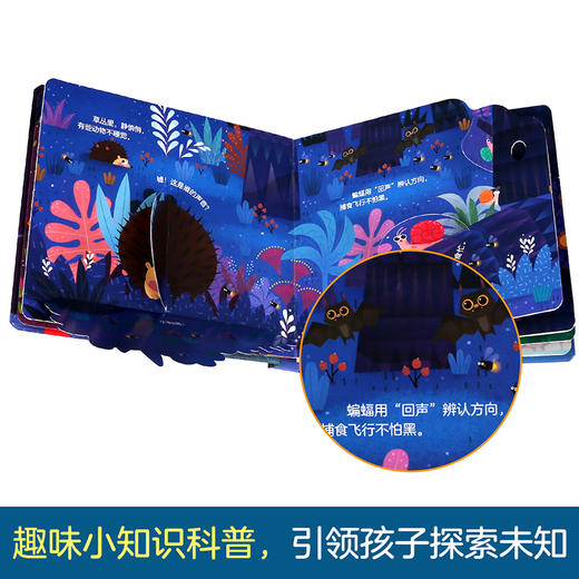 揭秘小世界-夜晚 原价49.8 商品图3