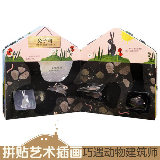 这是我的家科普翻翻书-动物的家 原价：88 商品图2