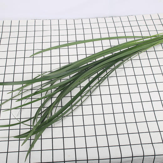 春兰～绿色 商品图0