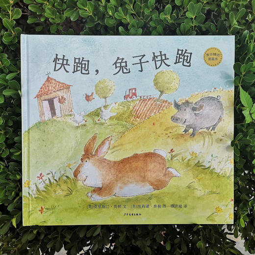 快跑,兔子快跑 商品图1
