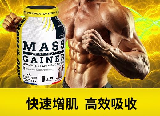 法国Eric Favre埃里克MassGainer乳清蛋白粉巧克力味3kg/罐JPY带授权招加盟代理 商品图14