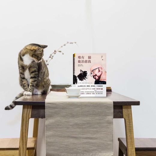 治愈系读本 |《唯有猫能治愈我》没有什么孤独，是猫治愈不了的（官方正版，假一罚十）| 开森心理 商品图2
