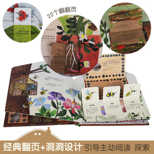 这是我的家科普翻翻书：虫虫的家 原价88 商品图3