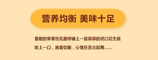 马来西亚茱蒂丝三明治夹心饼干组合（花生酱135g*2+乳酪125g*2）JPY带授权招加盟代理 商品图5