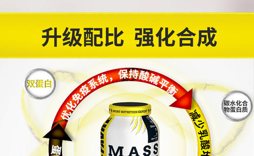 法国Eric Favre埃里克MassGainer乳清蛋白粉巧克力味3kg/罐JPY带授权招加盟代理 商品图6