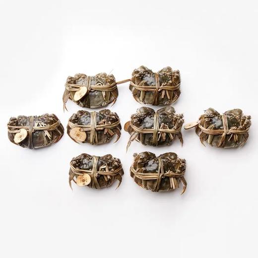 （永久下架）【大闸蟹】庙港人杨桂珍太湖蟹 鲜活大闸蟹 商品图3