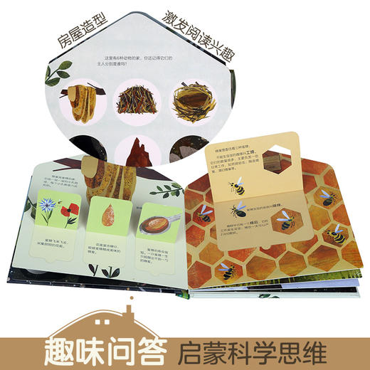 【玩具反斗城】这是我的家（3册全）虫虫的家+小鸟的家+动物的家 原价264/套 商品图3