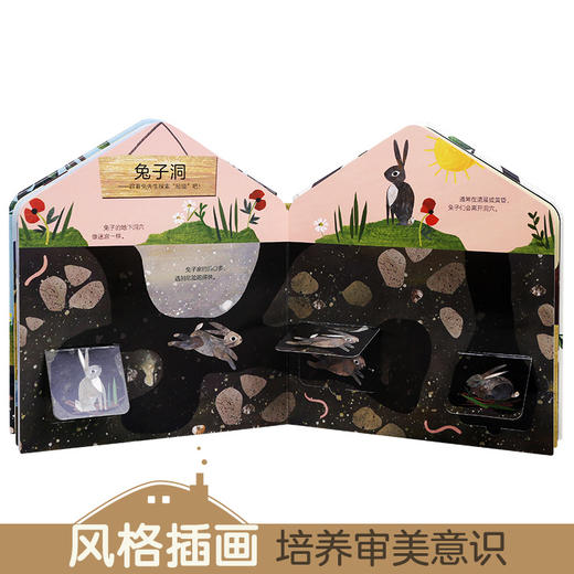 【玩具反斗城】这是我的家（3册全）虫虫的家+小鸟的家+动物的家 原价264/套 商品图1