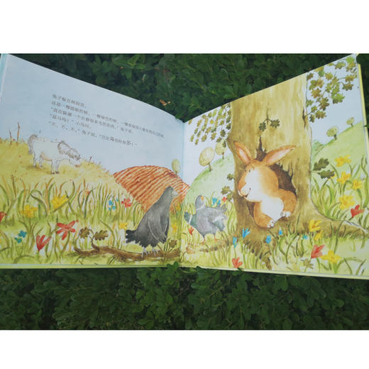 快跑,兔子快跑 商品图2