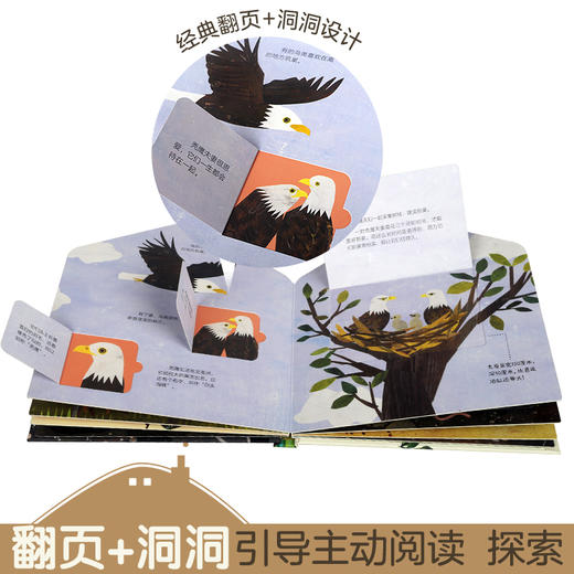 这是我的家科普翻翻书-动物的家 原价：88 商品图3