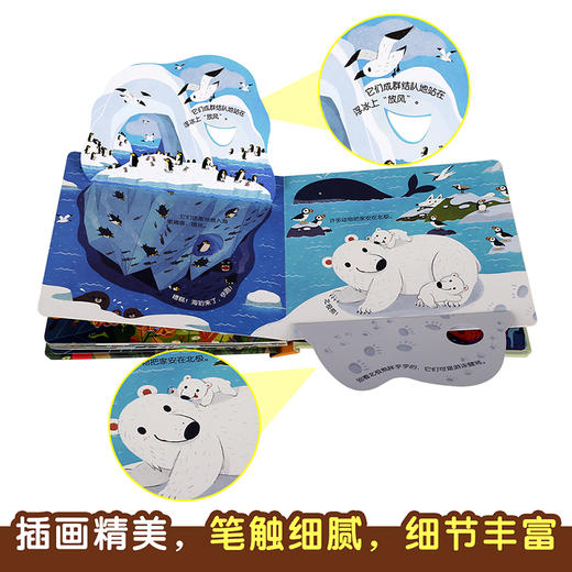 揭秘小世界-动物的家 原价：49.8 商品图4