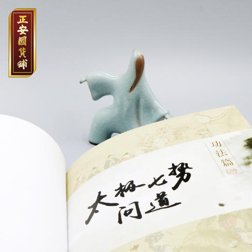 正安 《非视觉太极》图解 太极拳基础教程 中老年晨练 居家运动健身 商品图1