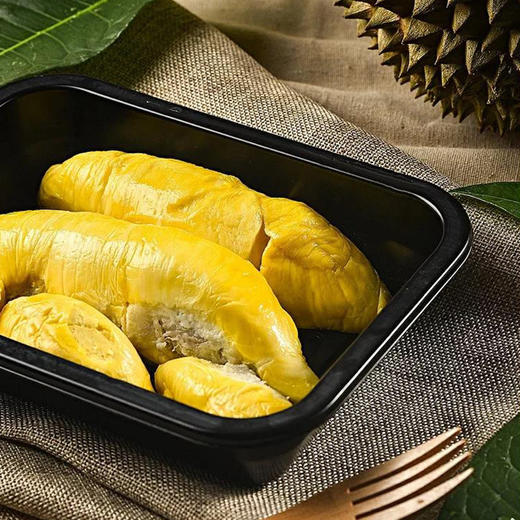 (精品水果)冻榴莲肉1斤装 商品图4