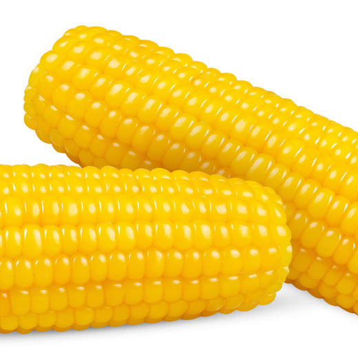 【1根】Dole都乐 非转基因甜玉米棒1根 开袋即食【当天提货】 商品图1