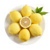 【精选】新鲜四川安岳黄柠檬1颗 重约100g—150g【当天提货】 商品缩略图1