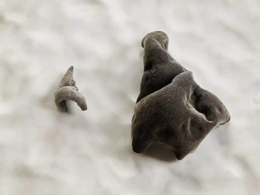 【东北特产】纯正野生大兴安岭秋木耳 500g 干净 无根肉厚爽脆 内蒙 商品图11