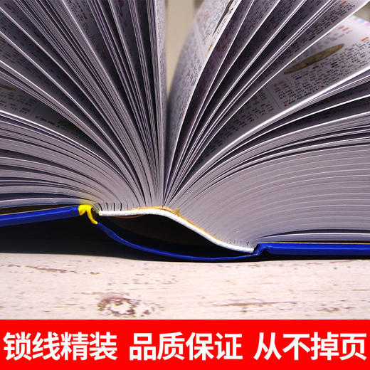【开心图书】彩色经典·小学生多功能词典 商品图3
