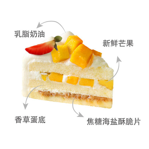 芒芒雪原 商品图3