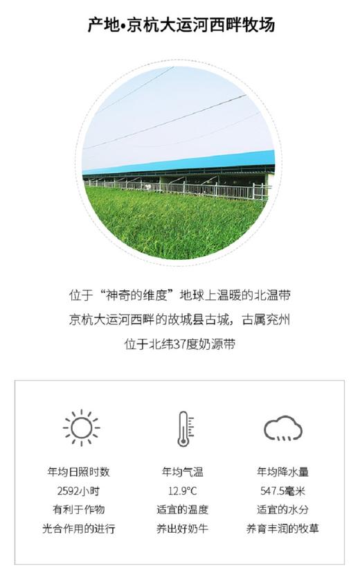 【品牌直供】认养一头牛 酸牛奶1箱装（200g*12盒）JPY带授权招加盟代理 商品图4