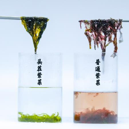 【买四包送一包  买八包送两包再送一罐虾皮】紫菜妈妈有机头茬紫菜   50g/包  （4包/8包） 商品图5