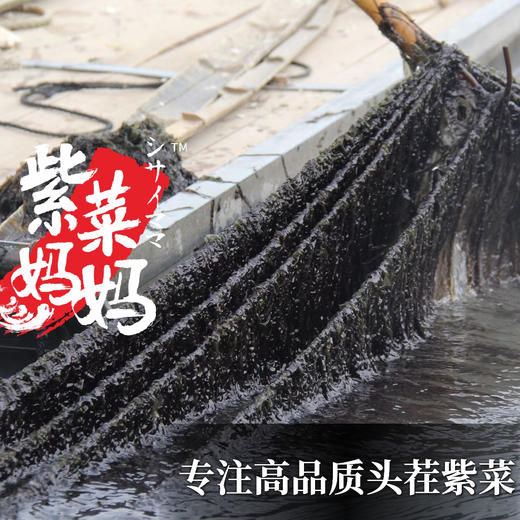 【买四包送一包  买八包送两包再送一罐虾皮】紫菜妈妈有机头茬紫菜   50g/包  （4包/8包） 商品图8