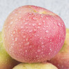 山西红富士苹果带箱10斤装 皮薄多汁 肉质紧致 清甜脆口 商品缩略图3