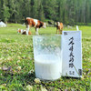 新疆高质尊贵版定制大纯牛奶 三个三年 （12瓶*250ml）大奶两箱 味道更浓郁 商品缩略图0