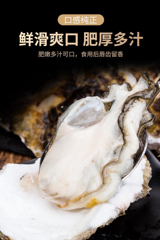 乳山生蚝2斤装 商品图6
