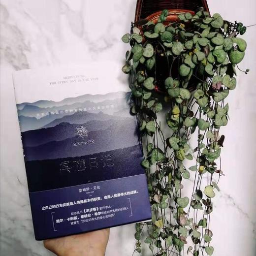 冥想日记 (英)詹姆斯·艾伦(ames Allen) 著 胡彧 译 商品图3