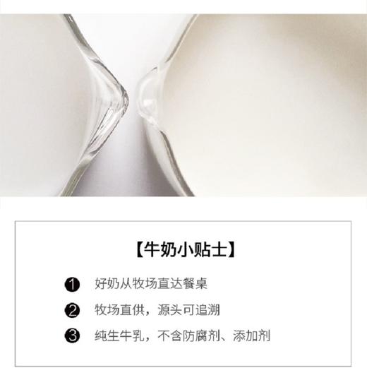 认养一头牛纯牛奶两提装（18年6月产）JPY带授权招加盟代理 商品图3