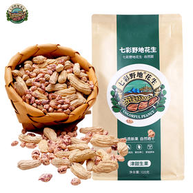 【七彩花生•云南孟连】新鲜晒干320g（袋装） 带壳生花生 云南土特产