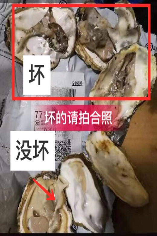 乳山生蚝2斤装 商品图5