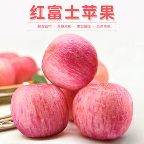 【白领专享】顶端果业热卖款陕西洛川水晶红富士苹果20枚85mm精选大果