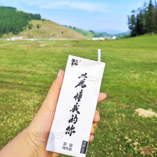 新疆高质尊贵版定制大纯牛奶 三个三年 （12瓶*250ml）大奶两箱 味道更浓郁 商品图13