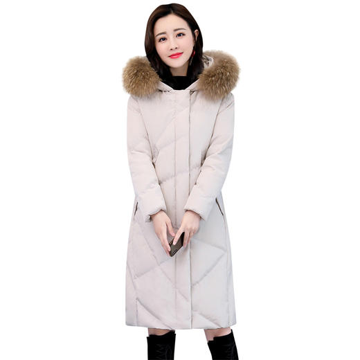 XP-LDBB205秋季新款时尚保暖棉服外套 商品图4