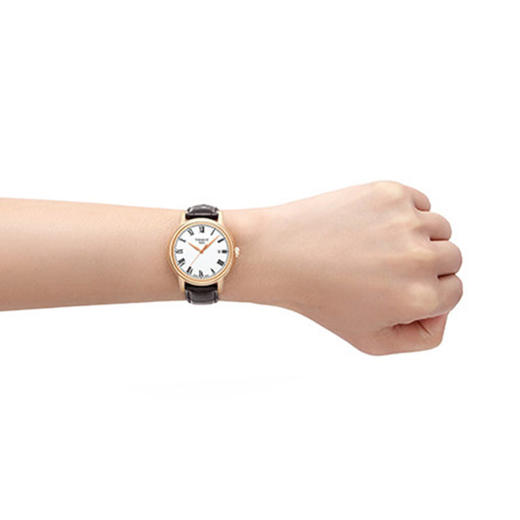 天梭Tissot卡森系列T085.410.36.013.00皮带石英男表 商品图4