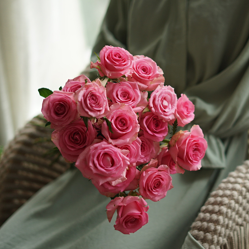 【周四秒杀】苏醒玫瑰12枝49.8元