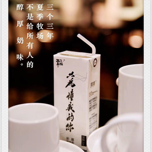 新疆高质尊贵版定制大纯牛奶 三个三年 （12瓶*250ml）大奶两箱 味道更浓郁 商品图7