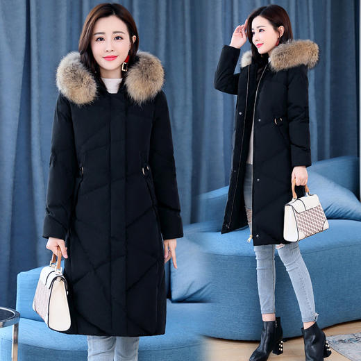 XP-LDBB205秋季新款时尚保暖棉服外套 商品图1