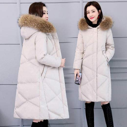 XP-LDBB205秋季新款时尚保暖棉服外套 商品图3