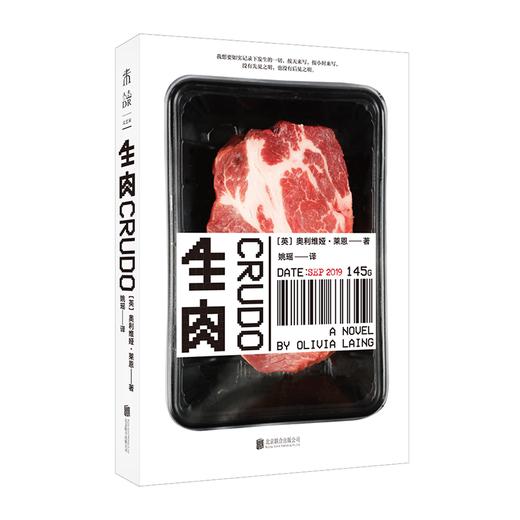 生肉（《孤独的城市》作者新作，一本刻意“粗糙”的小说） 商品图0