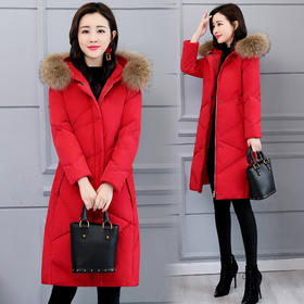 XP-LDBB205秋季新款时尚保暖棉服外套