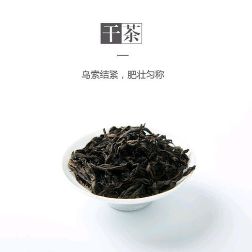 武夷岩茶 | 百瑞香(2019)