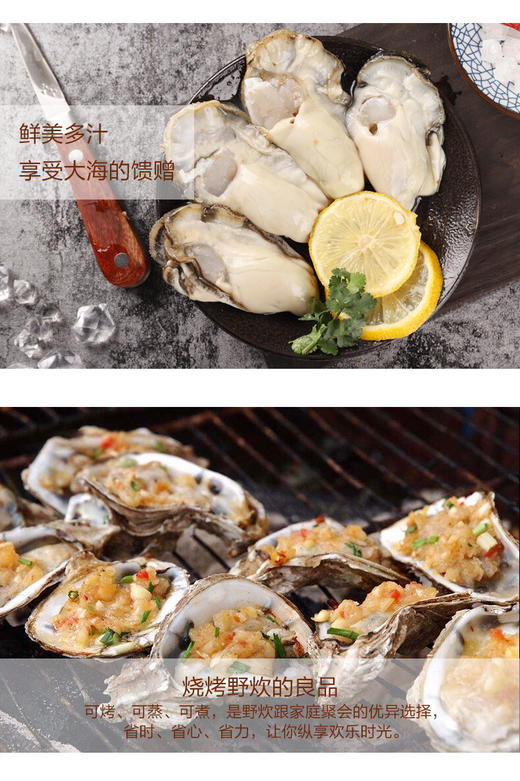 乳山生蚝2斤装 商品图2