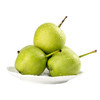 【4斤】(精选)本地早熟梨 早酥梨 重约4斤【当日提货】 商品缩略图3