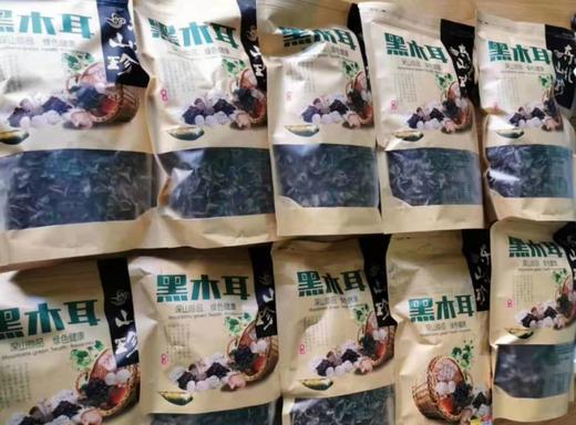 【东北特产】纯正野生大兴安岭秋木耳 500g 干净 无根肉厚爽脆 内蒙 商品图1