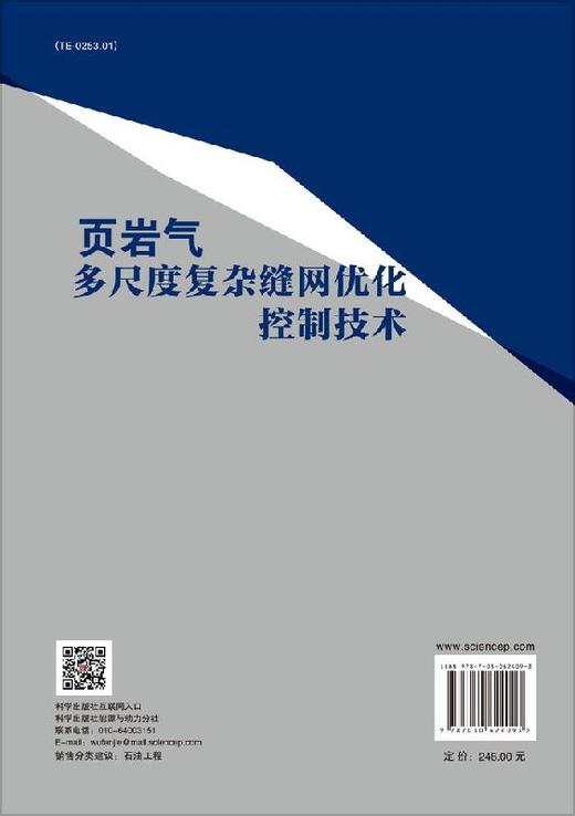 页岩气多尺度复杂缝网优化控制技术 商品图1